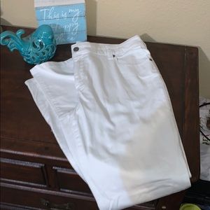 Chico Platinum Denim